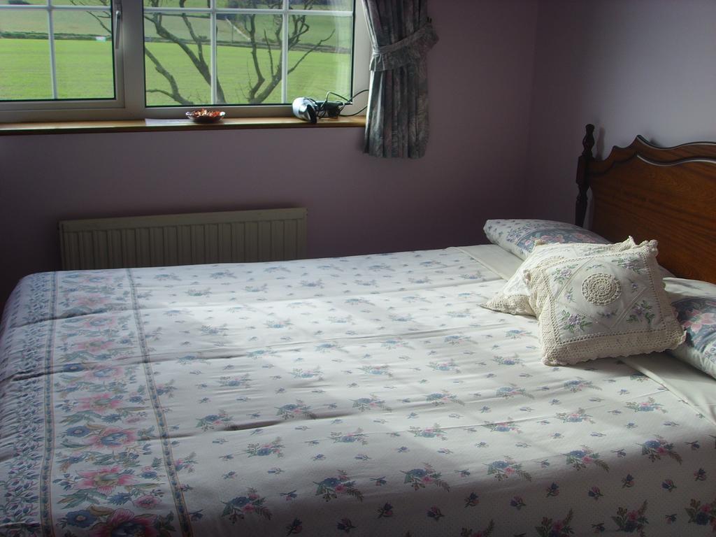 Springfield House B&B Clonakilty Quarto foto